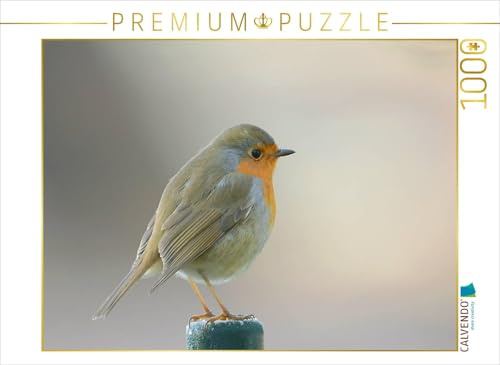 CALVENDO Puzzle Es Wird Winter | 1000 Teile Lege-Größe 64 x 48 cm Foto-Puzzle für glückliche Stunden
