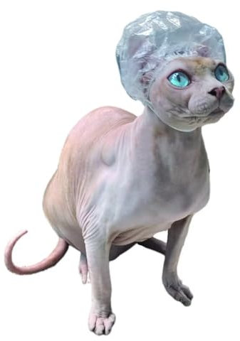 Sphynx Hairless Cat Shower Caps with Chin Elastic Kitten Cats & Small Dogs Small Pets 20pcs for Devon Rex Cat, Cornish Rex Cat Bambino Peterbald Cat and Elf