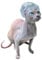 Sphynx Hairless Cat Shower Caps with Chin Elastic Kitten Cats & Small Dogs Small Pets 20pcs for Devon Rex Cat, Cornish Rex Cat Bambino Peterbald Cat and Elf