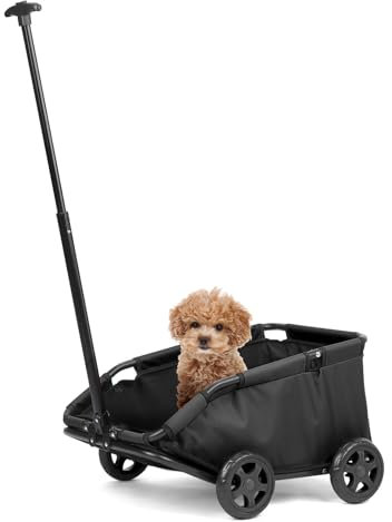 Mini-Hundewagen für Mini-Haustiere, faltbarer multifunktionaler Einkaufswagen mit ausziehbarem Ziehgriff, Doggie Wagon eingebautem Kissen und Sicherheitsseil mit Aufbewahrungstasche (Schwarz)
