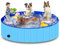 Hundepool, Piscina per cani rigida ripiegabile a prova d'acqua per piccoli, medi e grandi cani - Vasca idonea per gatti e cani, Antiscivolo e Resistente all'usura (XL-160cm*30cm)