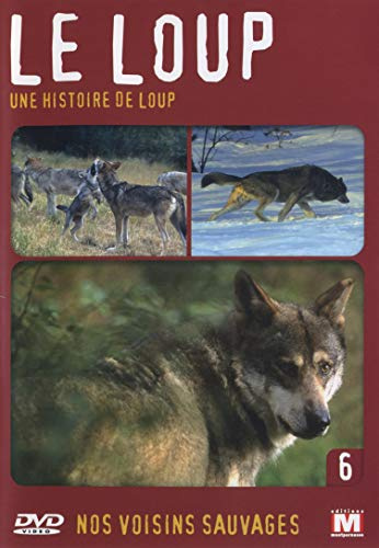 Editions Montparnasse