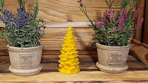 Tannenbaum Bienenwachskerze
