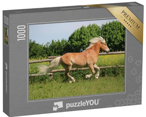 puzzleYOU: Puzzle 1000 Teile „Wunderschönes Haflingerpferd auf der Koppel“ – aus der Puzzle-Kollektion Pferde, Haflinger Pferde