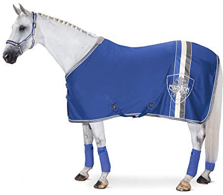 Eskadron Abschwitzdecke Jersey Stripe Plum, atlanticblue, silverpearl, darknavy, Größe (cm):XXL (165cm), Farben ESK Classic HW 2018:atlanticblue