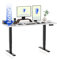 FLEXISPOT Höhenverstellbarer Schreibtisch Elektrisch, 3-Fach Teleskop & Dual-Motor, Belastbarkeit 160 KG, Bürotisch mit Memory-Funktion&Anti-Kollisionssystem(160 x 80 cm Weiß, Gestell Schwarz)​