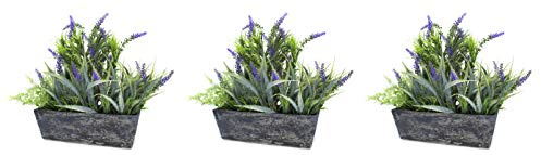 DARO DEKO Kunst-Pflanze Lavendel mit länglicher Schale 40 x 34cm 3 Stück