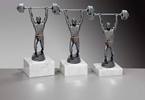 Henecka Hundesport-Pokal, Resinfigur Schäferhund, Bronze, mit Wunschgravur, Größe 17 cm