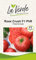 Rose Crush F1 PhR Tomatensamen