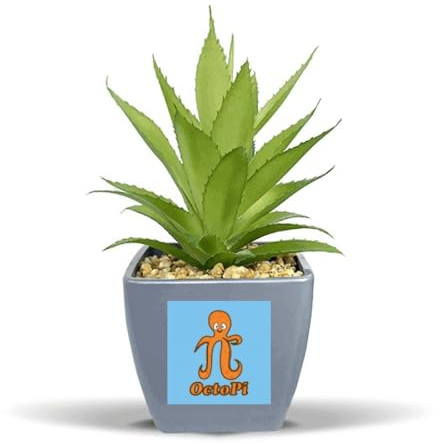 no/no Calculating Mathematical Pi Octopus Fake Ananas Blumentopf Vase Mini Decor