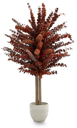 Maia Shop Eucalipto Preservado - Eucalipto Natural, Árbol Eucalipto Preservado Naranja Baby 100 cm con Hojas Secas, Decoración Hogar, Plantas Naturales Interior
