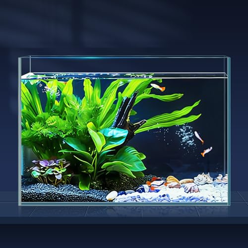 LAQUAL Acuario de 10 litros con Red y sifón Cambiador de Agua, de Cristal ultratransparente, pequeño Acuario para bettas y Peces Dorados, Bonita decoración del hogar