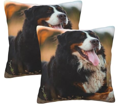Berner Sennenhund, Dekokissenbezug, dekorativer Kissenbezug aus Polyester, weiche Kissenbezüge 2 Stück 50x50cm