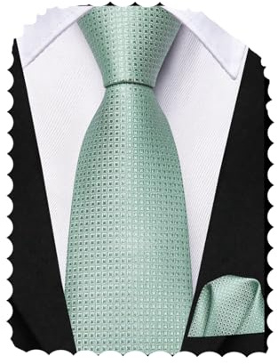 Hi-Tie Selbstgebundenes Krawatten-Set für Jungen, 8–10, Seide, Kinder-Krawatten für Jungen von 8–11 Jahren, Jugend-Krawatte und Einstecktuch für Hochzeit, salbeigrün, 48 inches x 2.36 inches (Tie