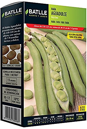 Batlle - Semi di fava
