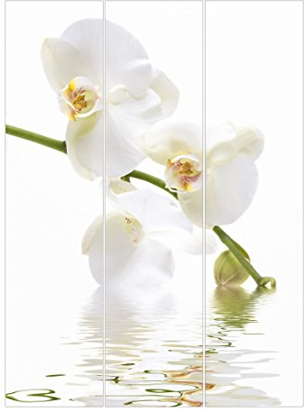 Bilderwelten Schiebegardinen White Orchid Waters Ohne Aufhängung 3X á 250 x 60cm