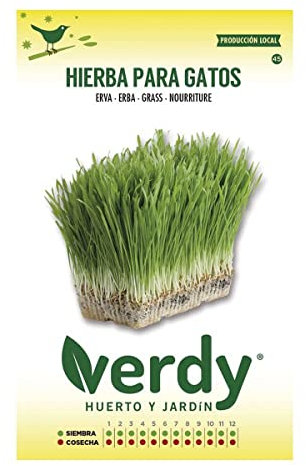 SOBRE DE SEMILLAS DE HIERBA PARA GATOS VERDY