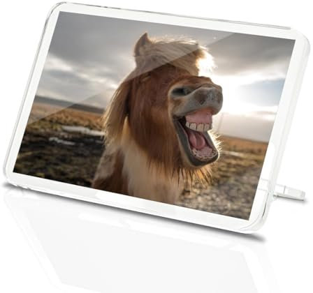 Classic Rectangle Magnet with Stand - Laughing Icelandic Pony Horse Funny - Fridge Locker Office Whiteboard Toolbox #53030