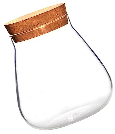 TOYZFRIENDY Glasvase mit Korkverschluss Micro Landscape Terrarium Candy Jar Vielseitiger Display Pot für Sukkulenten Moos Kleine Pflanzen Dekorativer Aufbewahrungsbehälter für Zuhause und