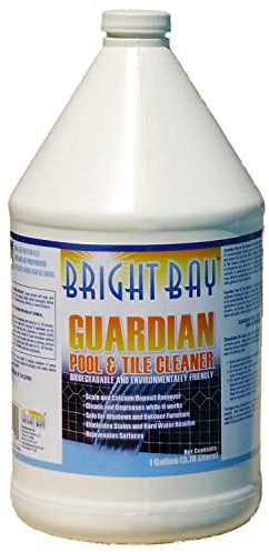 Guardian Pool & Tile Cleaner, Gallon Bottle 1/Case -