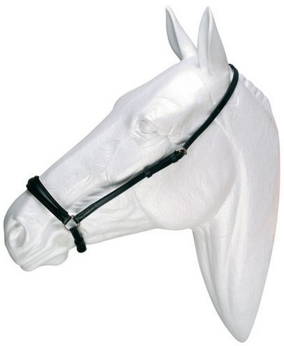 Reithalfter Hannover hannoveranisches Reithalfter Leder schwarz Gr. Warmblut