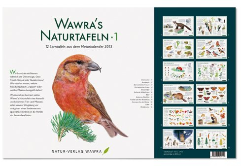 Wawra´s Naturtafeln Set 1 mit 12 Lerntafeln im A3-Format zum Entdecken, Beobachten, Bestimmen - 41,6 x 27 cm