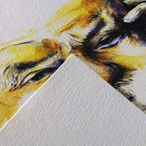 Canson C a grain Rouleau de papier à dessin Blanc 1.5 x 10 m weiß