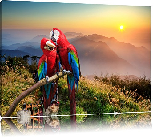 Pixxprint Papageien Pärchen, Größe: 120x80cm, Leinwandbild, fertig gespannt, Wandbild, Dekoration, Kunstdruck, kein Poster