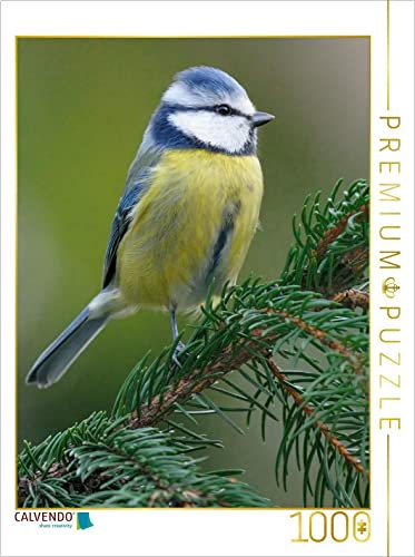 CALVENDO Puzzle Blaumeise 1000 Teile Puzzle hoch | 1000 Teile Lege-Größe 48 x 64 cm Foto-Puzzle für glückliche Stunden