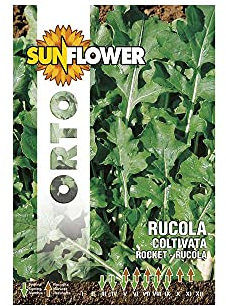 SEMENTI RUCOLA COLTIVATA FOGLIA LARGA SUNFLOWER (Cf 20)