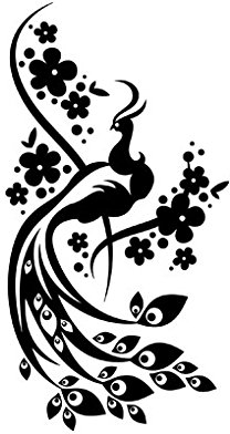 Apalis Fensterfolie Fenstertattoo Deko Zauber Pfau Glasbild Frühling Frosted 48 x 25cm