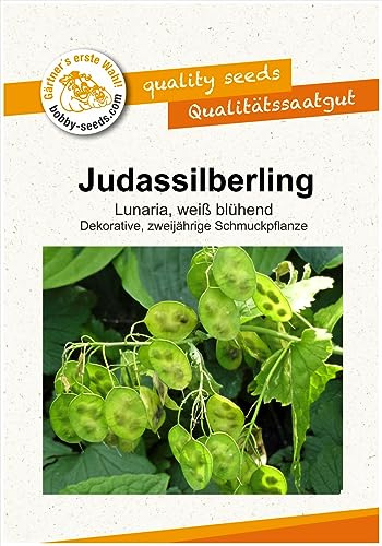 Blumensamen Judassilberling, weiß Portion