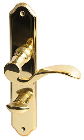 Alpertec 32210793 Neal-LS Messing poliert für Badtüren WC Drückergarnitur Türdrücker Türbeschläge Neu, Badezimmertüren