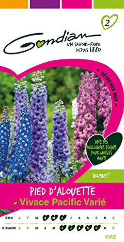 bolsa de semillas Delphinium Vivace Mix Gondian