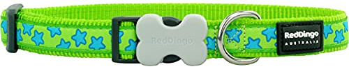 Red Dingo Bucklebone Dog Collar Design, Stars Turquoise on Lime Green, Medium 20mm