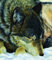Schlafender Wolf (Puzzle): A Moment's Rest