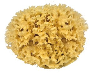 CROLL & DENECKE M130 Naturschwamm aus dem Mittelmeer, Mediumqualität, Größe 13 cm, Natur