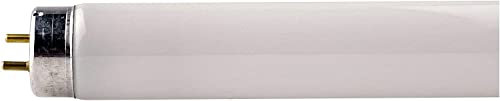 LAMPADA FLUORESCENTE MASTER TL-D SUPER 80 18W840 1SL25 18 W CLASSE A