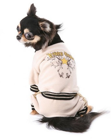 Puppy Angel Set Star Jogging Beige