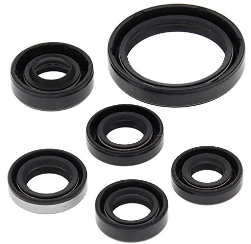 Winderosa 822334 Motor Oil Seal Kit