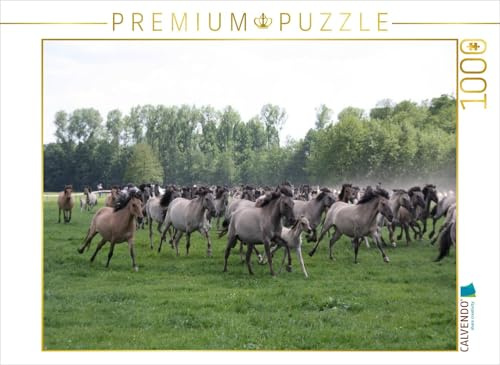 Puzzle · Dülmener Wildpferde | Pferde wild und schön · 1000 Teile · Lege-Größe 64 × 48 cm · CALVENDO Puzzle