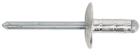 Sealey RM4819L Aluminium Multi-Grip Rivet Large Flange 4.8 x 19mm Pack of 200, Silver