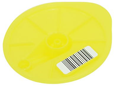 Bosch T Disc - Pastilla limpiadoras para cafeteras