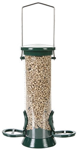 National Trust Hanging Bird Feeder for Small Birds – Bird Seed Feeder – Metal Green With 2 Feeding Ports and Perching Rings – Garden Wildlife Feeding Accessory