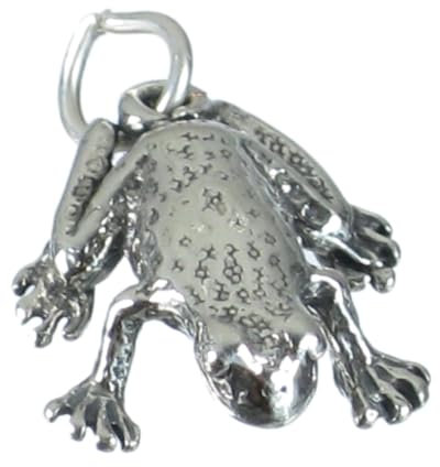 Frog Toad Sterling Silber Charm .925 x 1 Frogs Toads Charms
