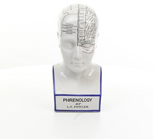 Decoratie Deko Kopf Kopfskulptur Büste Phrenologie Schädellehre Porzellan Höhe 30 cm 1,8 kg
