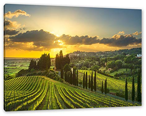 Pixxprint Malerische Weinberge in der Toskana, Größe: 100x70cm, Leinwandbild, fertig gespannt, Wandbild, Dekoration, Kunstdruck, kein Poster
