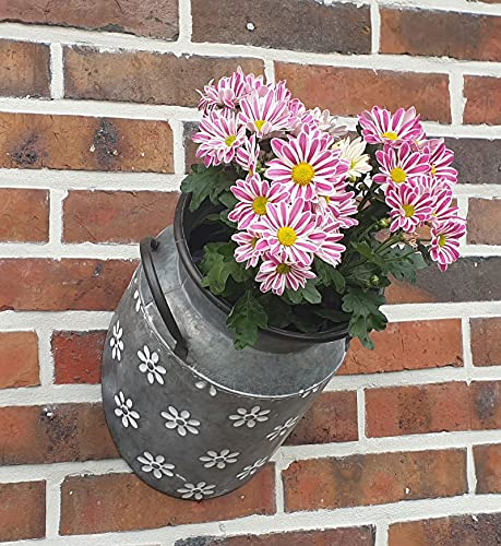 Fachhandel Plus 1/2 Zinkkanne Blumentopf hängend originelles Pflanzgefäß Gartendeko Pflanzkanne