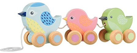 Birds Pull Along Toy - Animal Push and Pull Along Toys for 1 Year Olds, Toddler, Wooden Walker Toys - 1st Birthday Gifts for Baby Boys and Girls - Early Development & Activity Toys by Orange Tree Toys