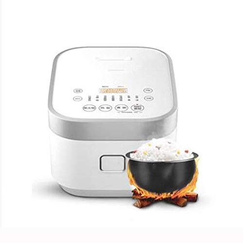 RajoNN 3L Fornello Elettrico IH Fornello di Riso per La Casa Mini Multi-Funzione Fornello di Riso Palla Bollitore Intelligente Torta Fornello di Riso